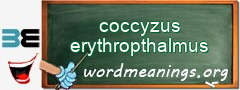 WordMeaning blackboard for coccyzus erythropthalmus